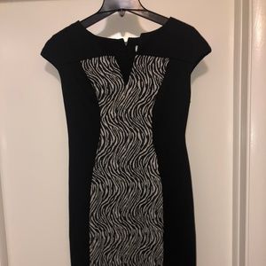 Dress Barn Zebra Sheath Dress NWOT